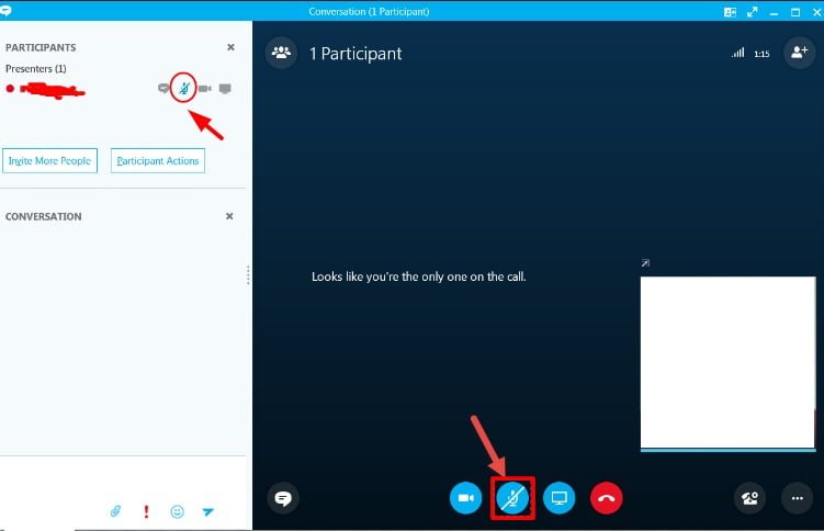 mute on Skype